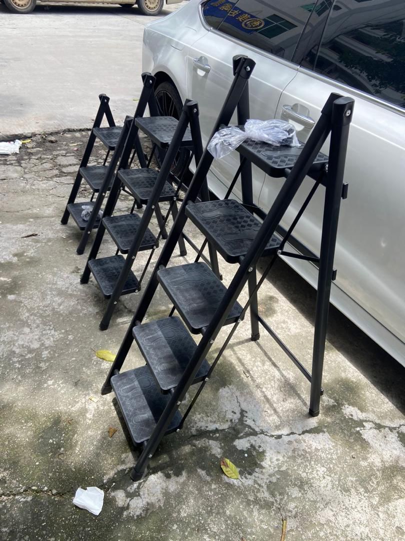 Households folding ladder