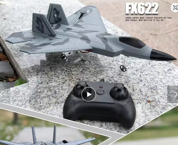 F-22 Raptor RC Plane