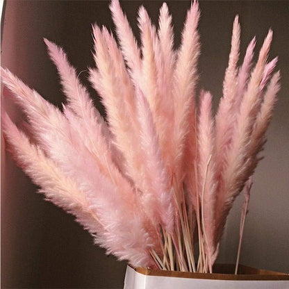 Decorative Pampas Grass, 15 Pcs Dried Small Pampas Grass Phragmites Communis Decoration for Home Hotel Wedding - Bunch of 15 Sticks - Decor