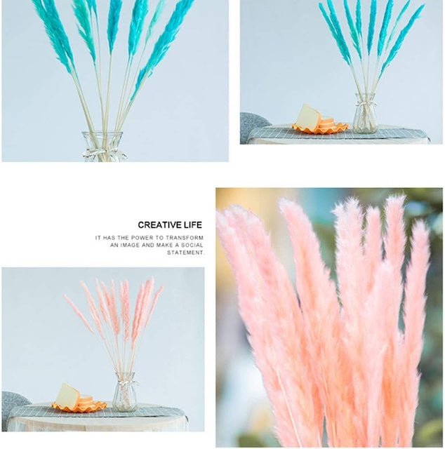 Decorative Pampas Grass, 15 Pcs Dried Small Pampas Grass Phragmites Communis Decoration for Home Hotel Wedding - Bunch of 15 Sticks - Decor