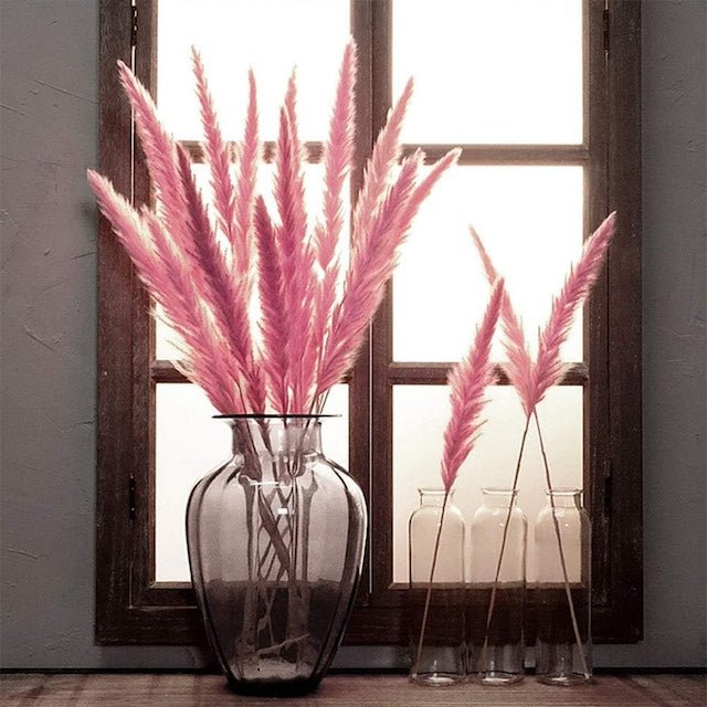 Decorative Pampas Grass, 15 Pcs Dried Small Pampas Grass Phragmites Communis Decoration for Home Hotel Wedding - Bunch of 15 Sticks - Decor