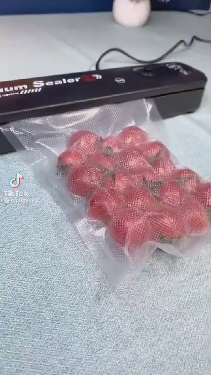 Vacuum Thermal Sealer, Portable Vacuum Air Sealing Machine, Plastic Bag Sealing Machine With LED Light - Dry & Moist Sealing